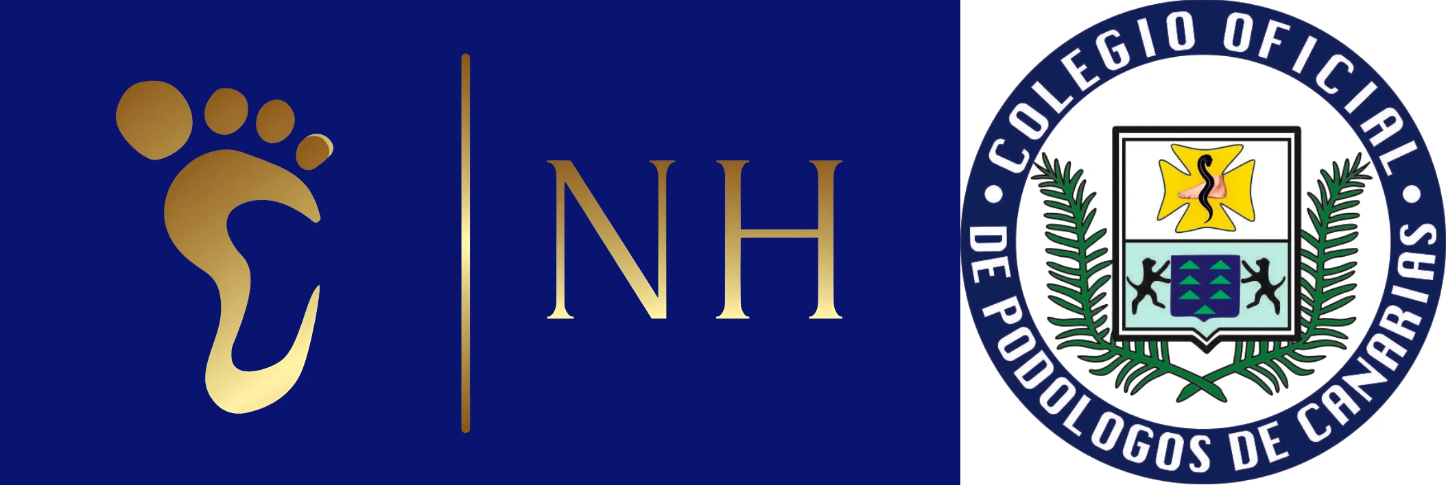 Logo de la Clínica NHPodologo